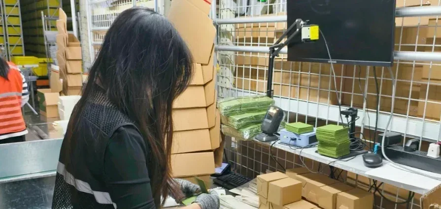 Worker reviewing parcels at a barcode scanning workstation